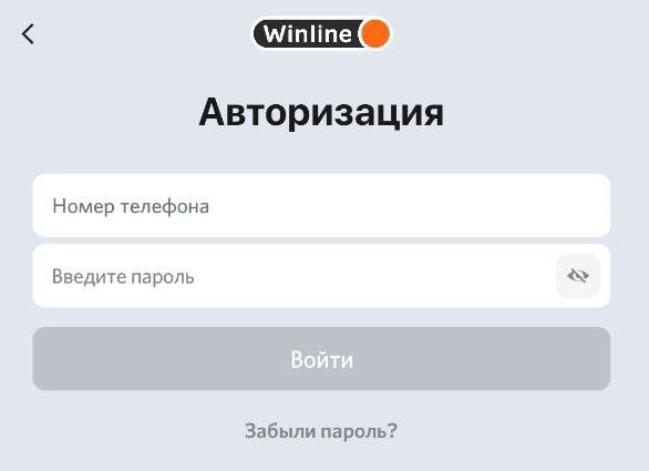 Форма авторизации в мобильном приложении Винлайн на Андроид